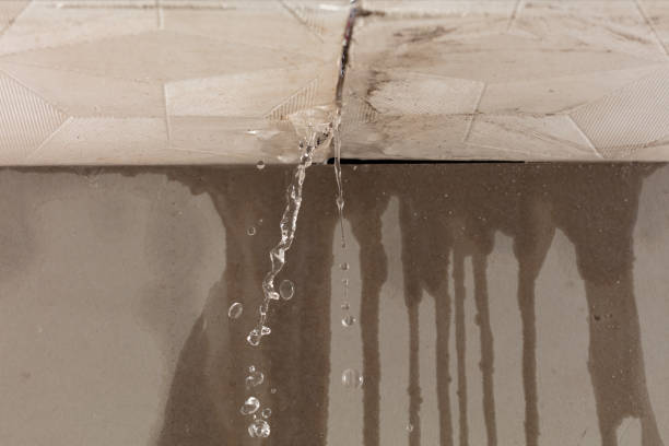Professional Sewage Cleanup technician working in Cass City, MI